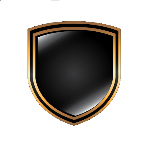 shield-icon-transparent shield-icon-transparent